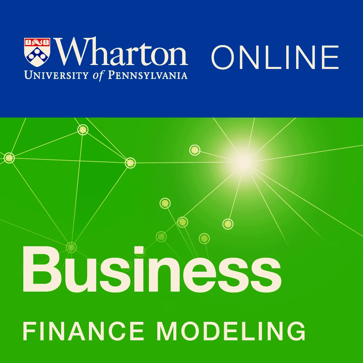 Wharton Business and Financial Modeling Capstone